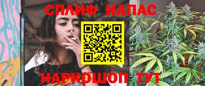 стафф Кудрово