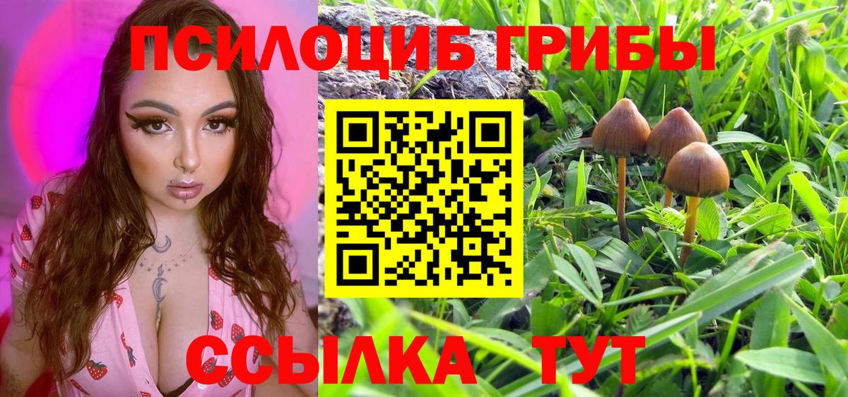 Галлюциногенные грибы прущие грибы  Галлюциногенные грибы прущие грибы  Вход с VPN  Муром 